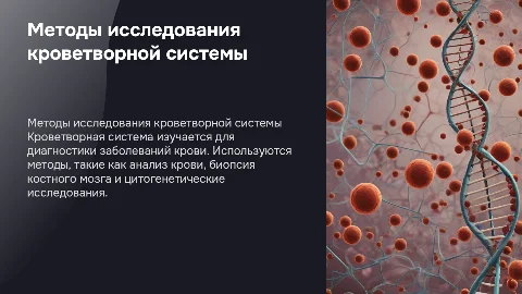 методы исследования кроветворной системы