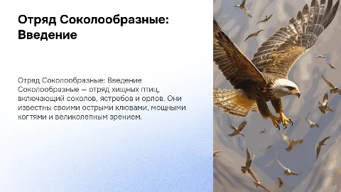 отряд соколообразные много картинок