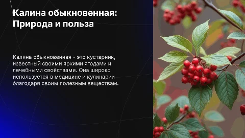 Калина обыкновенная