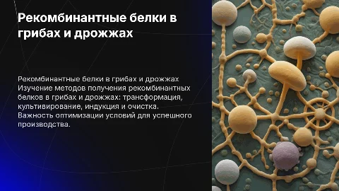 Получение рекомбинантных белков в грибах и дрожжах