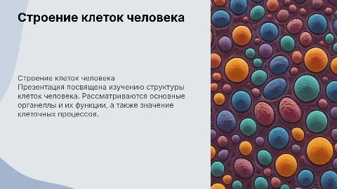 Презентация на тему строение клеток человека для студентов