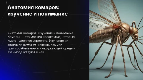 анатомия комаров