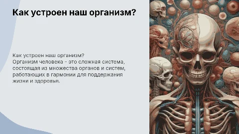 Как устроен наш организм?