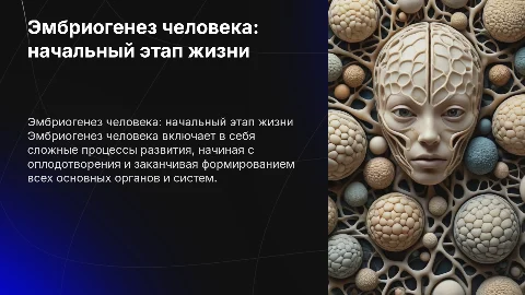 Эмбриогенез человека