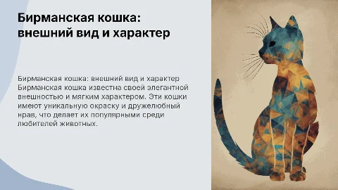 Бирманская кошка: презентация для школьника 1 класса