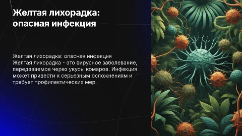 желтая лихорадка. особо опасная инфекция