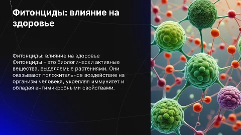 Фитонциды и их влияние на организм человека