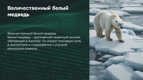 белый медведь