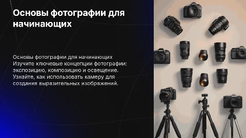Базовое обучение фотографии