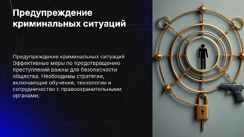 Предупреждение ситуаций криминального характера