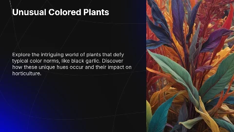 Plants of Unusual Color (for Example, Black Garlic)