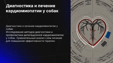 Методы диагностики и лечения дилатационной кардиомиопатии у собак