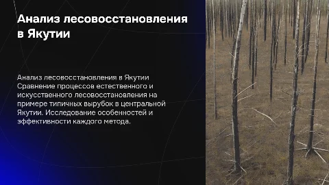 Сравнительный анализ лесовосстановления в Якутии
