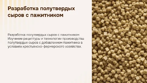 Разработка рецептуры полутвердых сыров с пажитником