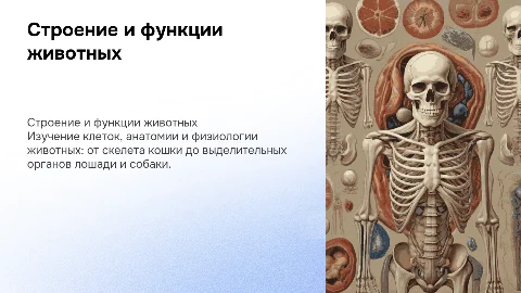 Строение клетки и анатомия животных: презентация для студентов