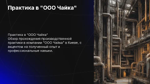 Прохождение производственной практики в "ооо чайка" с Киева