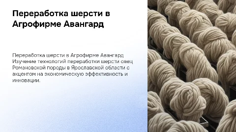 Переработка шерсти овец Романовской породы в Ярославской области