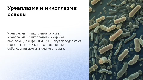 Уреаплазма микоплазма