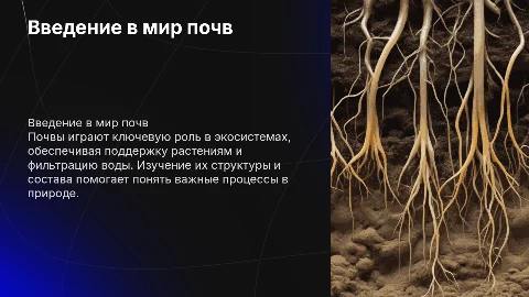 Почвы (больше картинок)