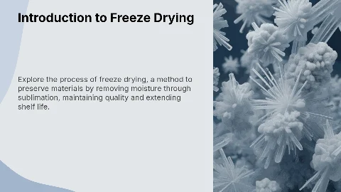Make a sketch of a presentation about freeze drying