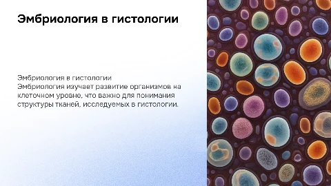 эмбриология в гистологии