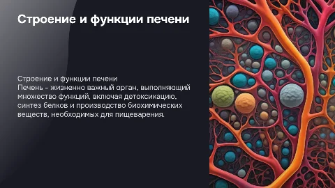 Строение и функционирование печени в норме с картинками