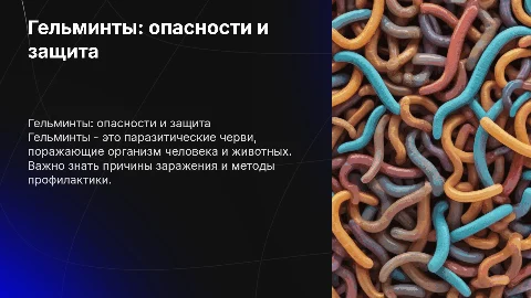 гельминты