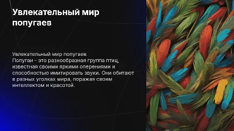 про попугаев