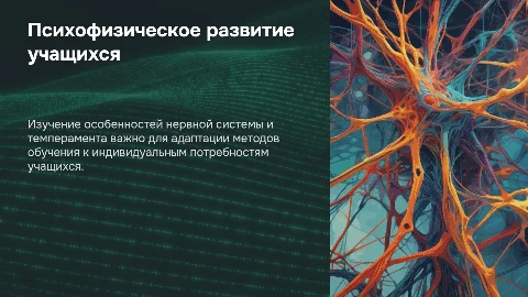 Презентация: Особенности психофизического развития: нервная система и