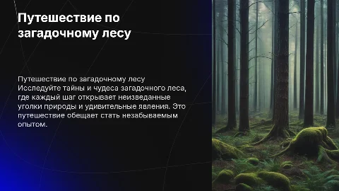 Путешествие по загадочному лесу