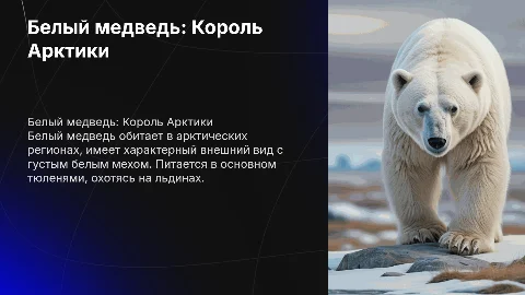 Белый медведь: Ареал, Внешний вид, Питание и охота