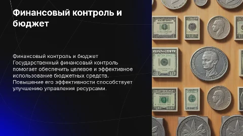 Государственный финансовый контроль за использованием бюджета