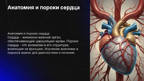 Анатомия сердца. Пороки сердца