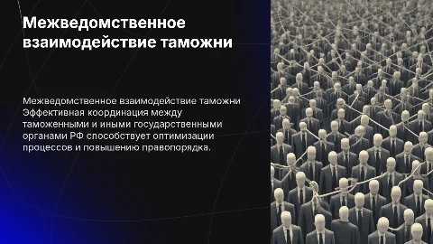 Организация межведомственного взаимодействия таможни и органов