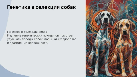 Тема 17. Генетические основы селекции собак