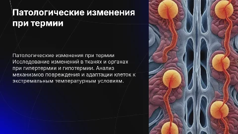 Изучение патологинетических изменений при термии