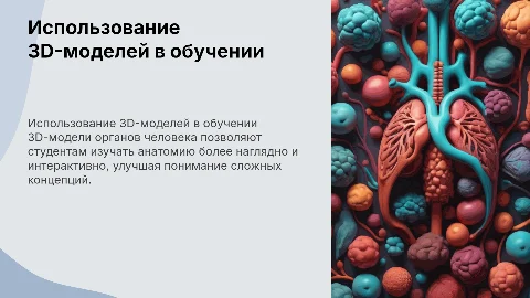 Применение 3D-модели органов человека в учебе