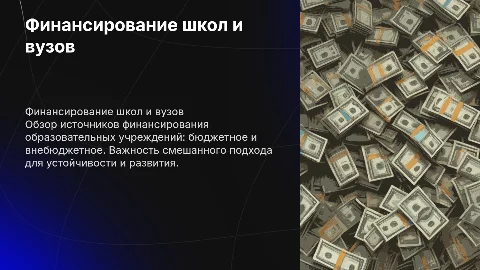 финансирование образовательных учреждений( бюджетное и внебюджетное)