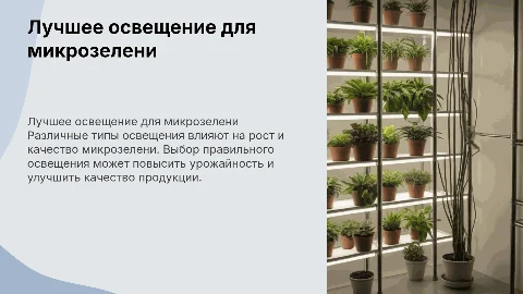 Какой тип освещения лучше для выращивания микрозелени