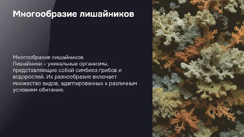 многообразие лишайников