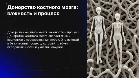 донорство костного мозга