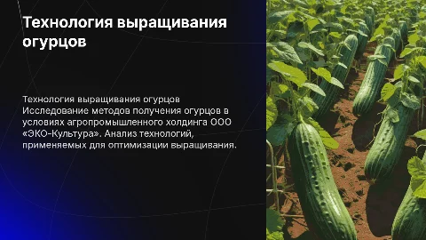 Презентация по технологии получения огурца в АПХ «ЭКО-Культура»