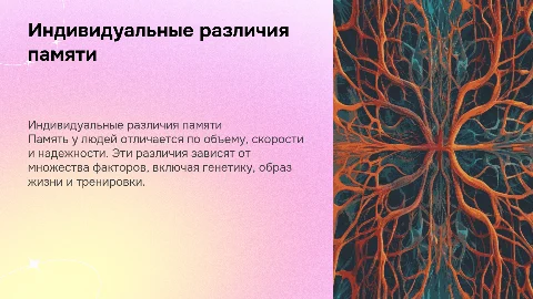 индивидуальные различия памяти у людей
