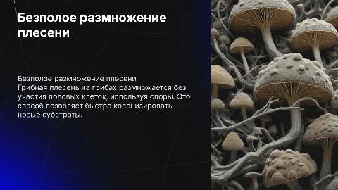Размножение без полое грибная плесень на грибах