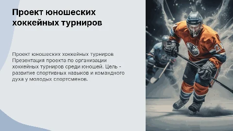 Презентация проекта Турниров по Хоккею с шайбой среди юношей