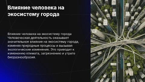 Влияние деятельности человека на экосистему города