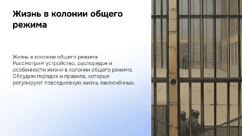 Колония общего режима