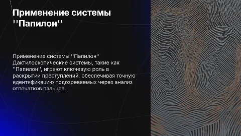 Применение системы "Папилон" в раскрытии преступлений