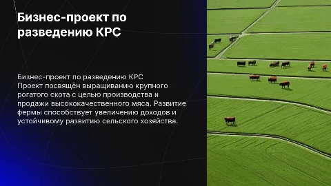 Бизнес-проект по выращиванию крупного рогатого скота