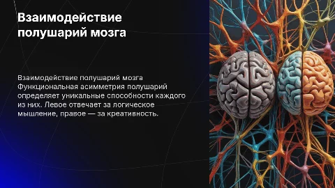 Функциональная асимметрия и взаимодействие полушарий мозга